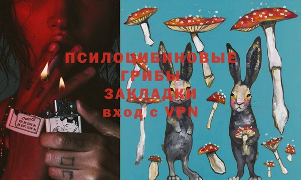 apvp Майский